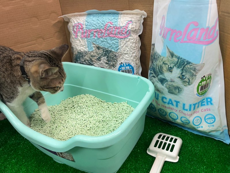 女人知己試用大隊,口碑行銷,部落客行銷,PurreLand 倍淨豆腐貓砂,好市多購買,COSTCO購買,豆腐貓砂,PurreLand倍淨,低粉塵,易清理,可沖馬桶,提供絕佳的除臭與凝結力,豆腐貓砂評價,貓砂評價,使用心得,貓砂分享,好用,原味,綠茶,豆腐砂,水量需完全覆蓋貓砂,水量需貓砂的2~3倍以上,豆腐砂評價,高CP值,划算